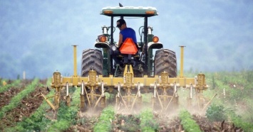 Мелкие аграрии призывают Раду принять законопроект №3131-д о детенизации АПК