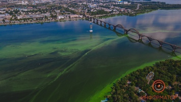 Река Днепр зацвела: на набережной стоит неприятный запах