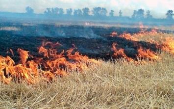 Пожары вернулись на Мелитопольщину
