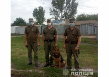 Под Мелитополем нашли пропавшую девочку