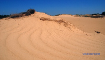 Экскурсии и катание на лыжах: в Олешковских песках пройдет Wild Desert Ultratrail