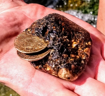 Одессит нашел в море старинные золотые монеты, вросшие в ракушечник (фото)