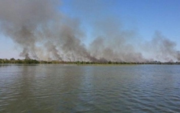 На Херсонщине сутки горели плавни