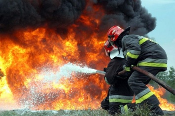 В Балаклее масштабно горела трава: огонь уничтожил три дачи