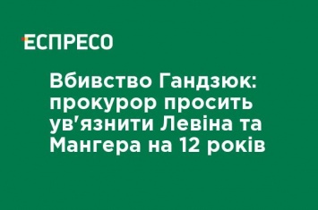 Убийство Гандзюк: прокурор просит посадить Левина и Мангера на 12 лет