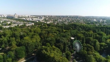 Зоны для выгула животных появятся в Гагаринском парке в Симферополе