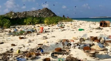 Мальдивы уже не те: почему не стоит ехать на острова (фото)
