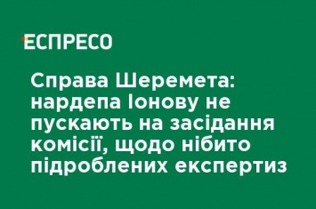 Дело Шеремета: нардепа Ионову не пускают на заседание комиссии о якобы поддельным экспертизам