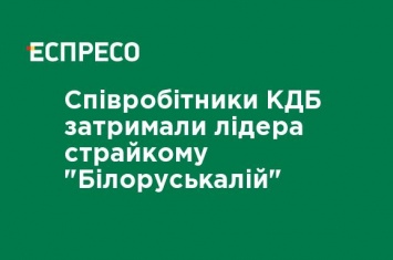 Сотрудники КГБ задержали лидера стачкома "Беларуськалий"