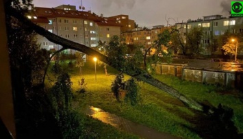 Бури в Польше повредили дома, тысячи людей остались без света