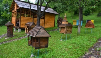 В Колочаве появилось пчелиное «село»