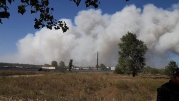 В Харьковской области спасатели тушат масштабный лесной пожар, - ФОТО