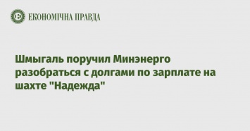 Шмыгаль поручил Минэнерго разобраться с долгами по зарплате на шахте "Надежда"