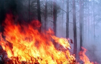 На Харьковщине остановлено движение поездов из-за пожаров