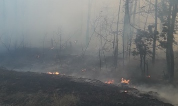 В Харьковской области эвакуировали граждан, которым мог угрожать мастабный пожар, - ГосЧС