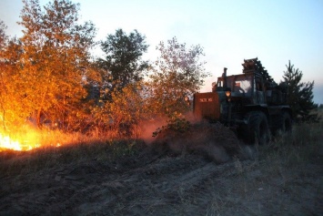 Штаб ООС: Характер пожаров на Донбассе свидетельствует об умышленном поджоге