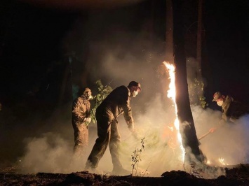 "Горит лес, нужна помощь": как мы тушили пожар в Чугуеве, - ФОТО
