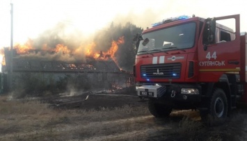 Ориентировочные убытки от пожаров на Харьковщине - 640 миллионов