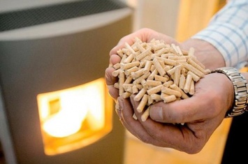 Европейские ученые предложили приравнять биомассу к углю по степени вреда для климата