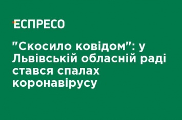 "Скосили ковидом": во Львовском областном совете произошла вспышка коронавируса