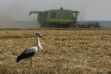 Одесские фермеры страдают от засухи - государство сокращает затраты на агросектор