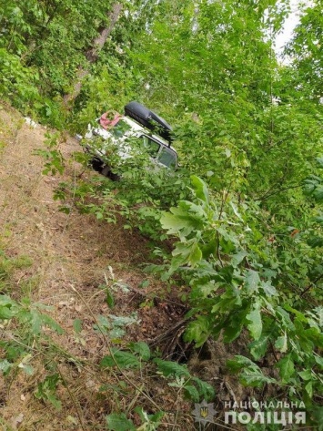 В лесу на Харьковщине нашли мертвым мужчину, пропавшего без вести три недели назад, - ВИДЕО, ФОТО