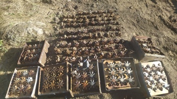 Спасатели обезвредили свыше 250 бомб, обнаруженных в «Крепости Керчь»
