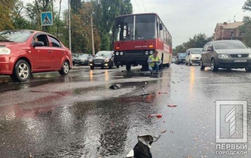 В Кривом Роге автобус с рабочими предприятия столкнулся с легковушкой. Есть пострадавшая