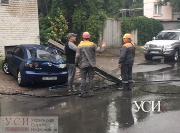 В Одессе ветер повалил столб на автомобиль