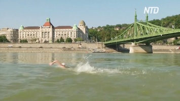 В Будапеште 700 человек переплыли Дунай (видео)