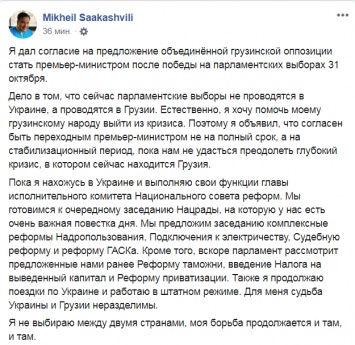 "Моя борьба продолжается и здесь, и там". Михо остается в Украине, но согласился стать премьером в Грузии