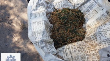В Кривом Роге мужчина "нашел на свалке" марихуану, но ее забрали полицейские