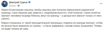 "Порвала на границе паспорт": Колесникову пытались насильно выдворить из Беларуси