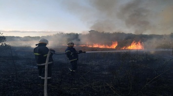 За прошлые сутки на Днепропетровщине дважды горел сухостой