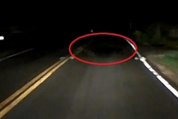 Водитель сбил ночью загадочное существо: видео озадачило даже "охотников за привидениями"