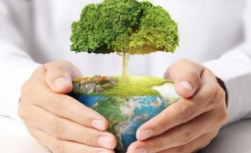Миллион деревьев за сутки: на Днепропетровщине пройдет масштабная акция по озеленению региона