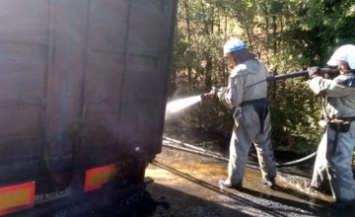 Сгорели колеса и пшеница: на Днепропетровщине на ходу загорелся грузовой автомобиль