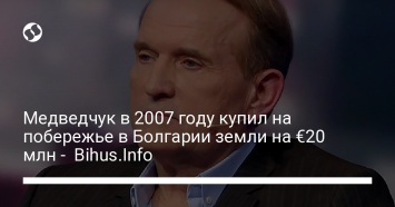 Медведчук в 2007 году купил на побережье в Болгарии земли на €20 млн - Bihus.Info