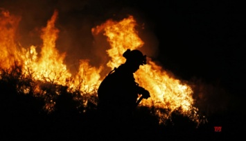 Лесные пожары в США: массовые эвакуации, более десятка погибших