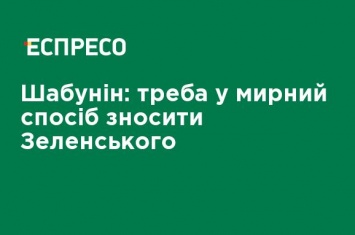 Шабунин: надо мирным путем сносить Зеленского