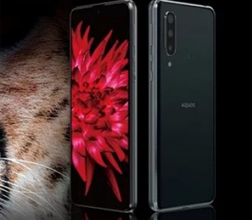 Sharp Aquos Zero 5G Basic представлен официально