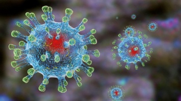 Создан белок, способный побороть коронавирус