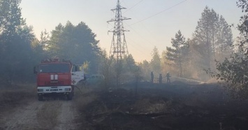Под Харьковом потушен еще один лесной пожар