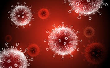 В США ученые обнаружили белок, который нейтрализует коронавирус