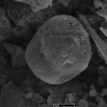 Ученые показали фото метеорита, которые подтверждают гипотезу занесения жизни на Землю и космоса