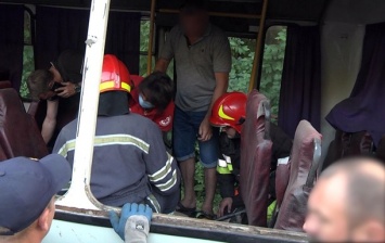В Хмельницком семь человек пострадали в ДТП с автобусом