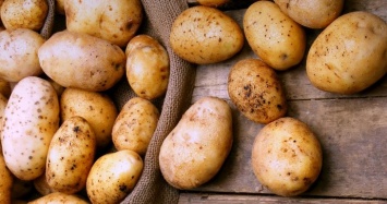 В Минэкономики планируют запретить импорт картофеля из РФ