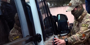 СМИ: в Псковской области ФСБ задержала антинаркотическое подразделение МВД за выращивание конопли