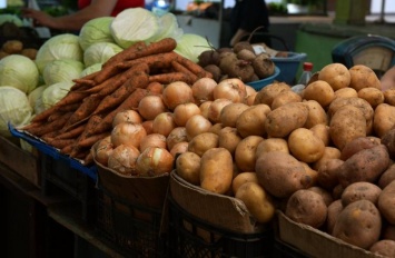 В Мелитополе начинают работу овощные рынки
