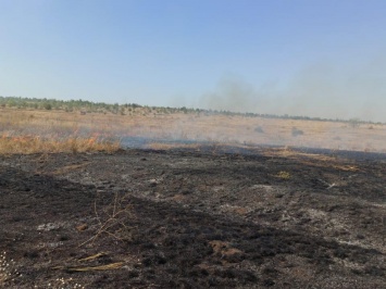 На Николаевщине снова тушат пожар в заповеднике "Еланецкая степь"